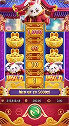 y123 · Fortune Rabbit